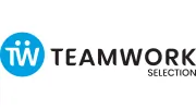 Teamwork Selection